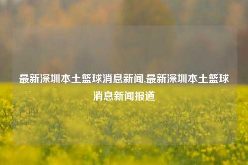 最新深圳本土篮球消息新闻,最新深圳本土篮球消息新闻报道