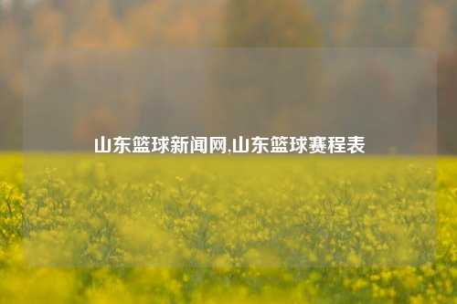 山东篮球新闻网,山东篮球赛程表