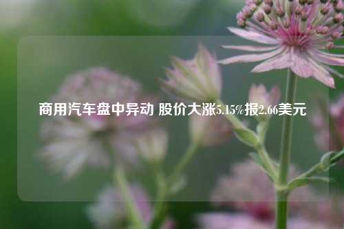 商用汽车盘中异动 股价大涨5.15%报2.66美元