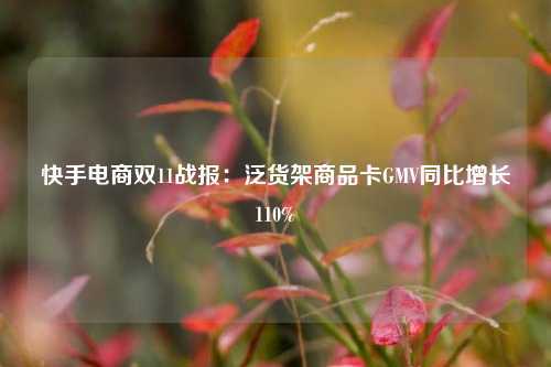 快手电商双11战报：泛货架商品卡GMV同比增长110%