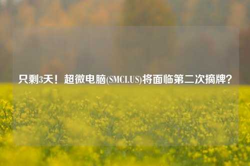 只剩3天！超微电脑(SMCI.US)将面临第二次摘牌？