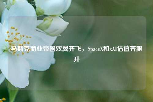 马斯克商业帝国双翼齐飞，SpaceX和xAI估值齐飙升