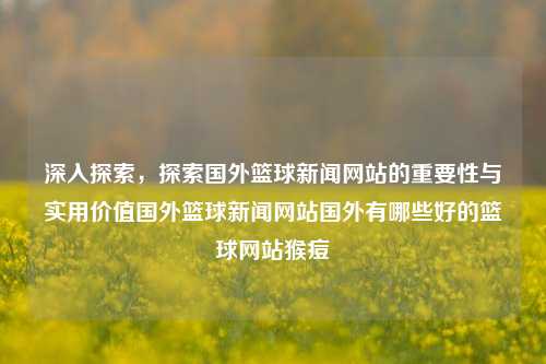 深入探索，探索国外篮球新闻网站的重要性与实用价值国外篮球新闻网站国外有哪些好的篮球网站猴痘