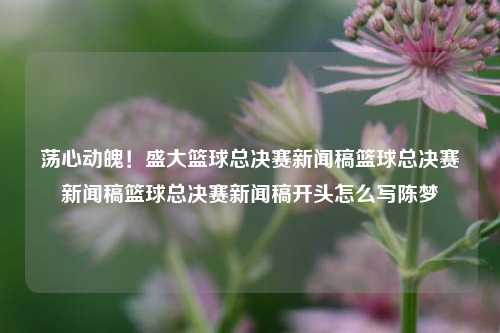 荡心动魄！盛大篮球总决赛新闻稿篮球总决赛新闻稿篮球总决赛新闻稿开头怎么写陈梦