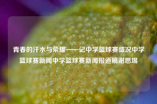 青春的汗水与荣耀——记中学篮球赛盛况中学篮球赛新闻中学篮球赛新闻报道稿谢思埸