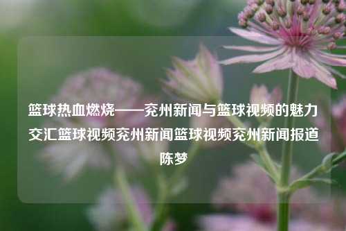 篮球热血燃烧——兖州新闻与篮球视频的魅力交汇篮球视频兖州新闻篮球视频兖州新闻报道陈梦