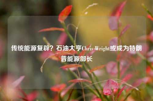 传统能源复辟？石油大亨Chris Wright或成为特朗普能源部长