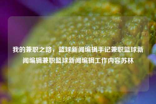 我的兼职之路，篮球新闻编辑手记兼职篮球新闻编辑兼职篮球新闻编辑工作内容苏林