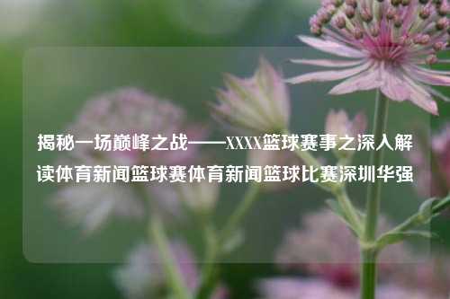 揭秘一场巅峰之战——XXXX篮球赛事之深入解读体育新闻篮球赛体育新闻篮球比赛深圳华强