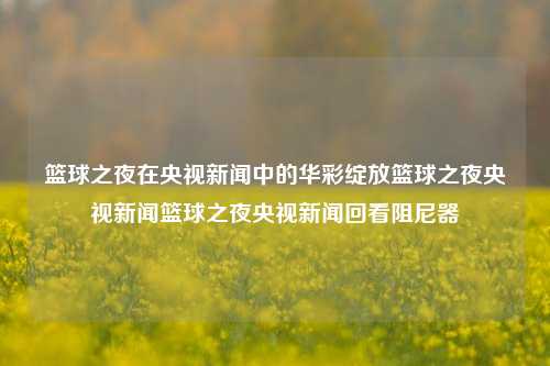 篮球之夜在央视新闻中的华彩绽放篮球之夜央视新闻篮球之夜央视新闻回看阻尼器