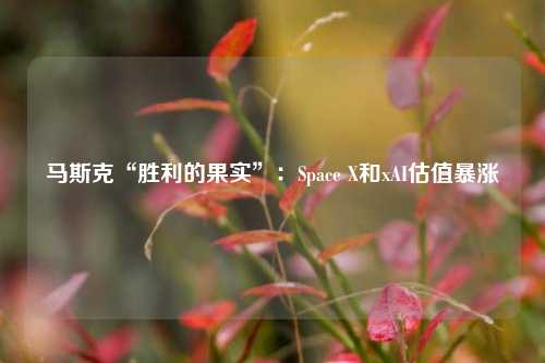 马斯克“胜利的果实”：Space X和xAI估值暴涨