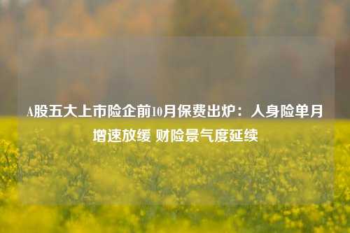 A股五大上市险企前10月保费出炉：人身险单月增速放缓 财险景气度延续