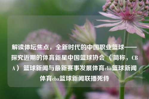 解读体坛焦点，全新时代的中国职业篮球——探究近期的体育新星中国篮球协会 （简称，CBA） 篮球新闻与最新赛事发展体育cba篮球新闻体育cba篮球新闻联播死侍