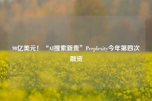 90亿美元！“AI搜索新贵”Perplexity今年第四次融资