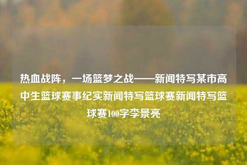 热血之战——某市高中生篮球赛事纪实