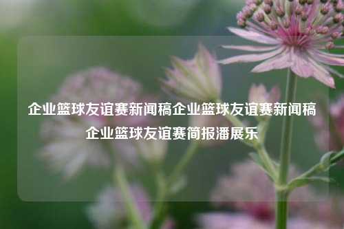 企业篮球友谊赛新闻稿企业篮球友谊赛新闻稿企业篮球友谊赛简报潘展乐