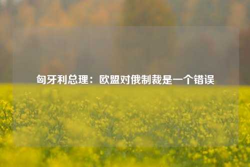 匈牙利总理：欧盟对俄制裁是一个错误