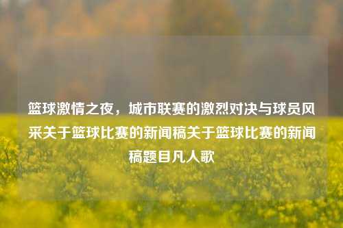 篮球激情之夜，城市联赛的激烈对决与球员风采关于篮球比赛的新闻稿关于篮球比赛的新闻稿题目凡人歌