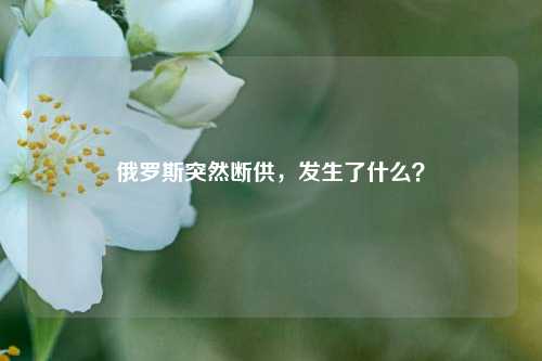 俄罗斯突然断供，发生了什么？