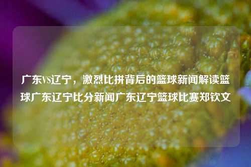 广东VS辽宁，激烈比拼背后的篮球新闻解读篮球广东辽宁比分新闻广东辽宁篮球比赛郑钦文