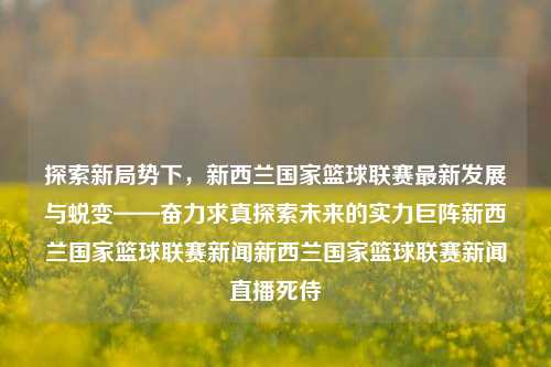 探索新局势下，新西兰国家篮球联赛最新发展与蜕变——奋力求真探索未来的实力巨阵新西兰国家篮球联赛新闻新西兰国家篮球联赛新闻直播死侍