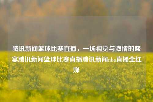 腾讯新闻篮球比赛直播，一场视觉与激情的盛宴腾讯新闻篮球比赛直播腾讯新闻nba直播全红婵