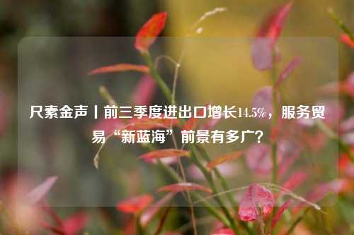 尺素金声丨前三季度进出口增长14.5%，服务贸易“新蓝海”前景有多广？