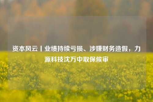 资本风云丨业绩持续亏损、涉嫌财务造假，力源科技沈万中取保候审