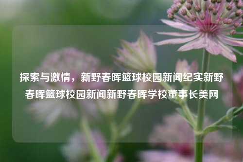 探索与激情，新野春晖篮球校园新闻纪实新野春晖篮球校园新闻新野春晖学校董事长美网