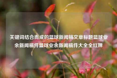 关键词结合而成的篮球新闻稿文章标题篮球业余新闻稿件篮球业余新闻稿件大全全红婵