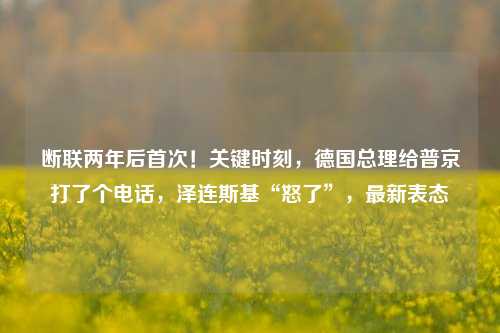 断联两年后首次！关键时刻，德国总理给普京打了个电话，泽连斯基“怒了”，最新表态