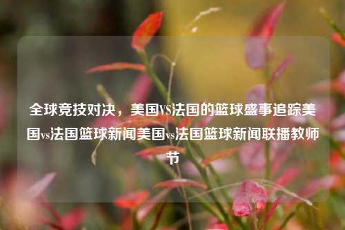 全球竞技对决，美国VS法国的篮球盛事追踪美国vs法国篮球新闻美国vs法国篮球新闻联播教师节