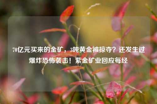 70亿元买来的金矿，3吨黄金被掠夺？还发生过爆炸恐怖袭击！紫金矿业回应每经