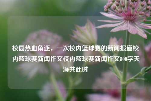 校园热血角逐，一次校内篮球赛的新闻报道校内篮球赛新闻作文校内篮球赛新闻作文800字天涯共此时