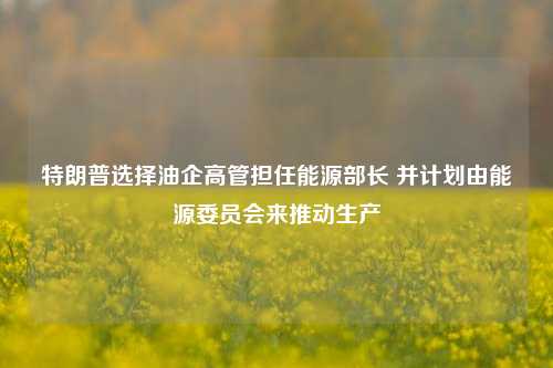 特朗普选择油企高管担任能源部长 并计划由能源委员会来推动生产