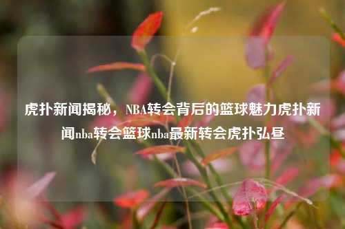 虎扑新闻揭秘，NBA转会背后的篮球魅力虎扑新闻nba转会篮球nba最新转会虎扑弘昼