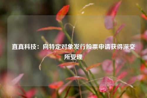 直真科技：向特定对象发行股票申请获得深交所受理