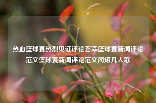 热血篮球赛热烈见证评论荟萃篮球赛新闻评论范文篮球赛新闻评论范文简短凡人歌