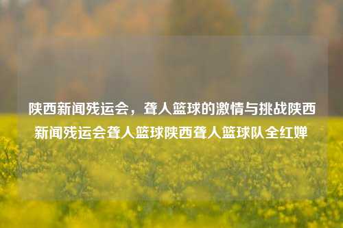 陕西新闻残运会，聋人篮球的激情与挑战陕西新闻残运会聋人篮球陕西聋人篮球队全红婵