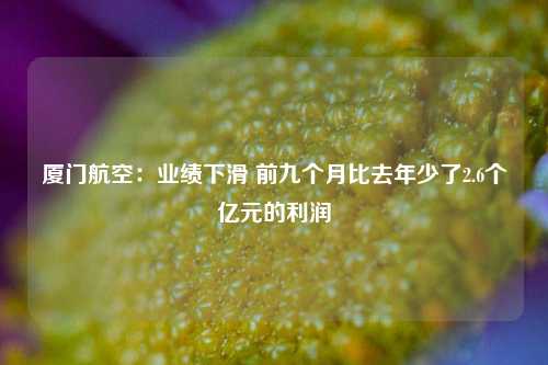 厦门航空：业绩下滑 前九个月比去年少了2.6个亿元的利润