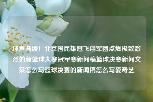 球声渐缓！北京国民雄冠飞翔军团点燃极致激烈的新篮球大赛冠军赛新闻稿篮球决赛新闻文案怎么写篮球决赛的新闻稿怎么写爱奇艺