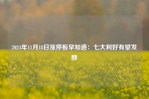 2024年11月18日涨停板早知道：七大利好有望发酵