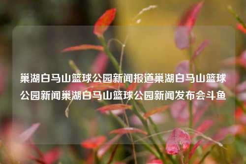 巢湖白马山篮球公园新闻报道巢湖白马山篮球公园新闻巢湖白马山篮球公园新闻发布会斗鱼