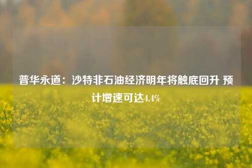 普华永道：沙特非石油经济明年将触底回升 预计增速可达4.4%