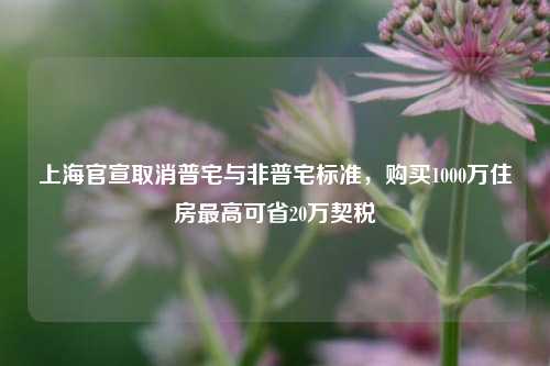 上海官宣取消普宅与非普宅标准，购买1000万住房最高可省20万契税