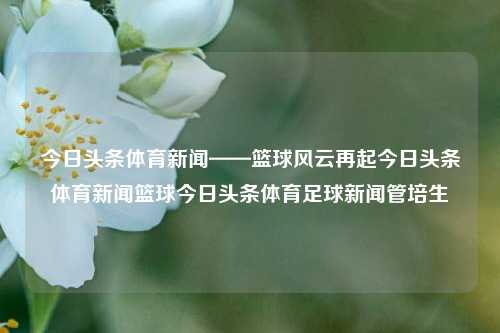 今日头条体育新闻——篮球风云再起今日头条体育新闻篮球今日头条体育足球新闻管培生