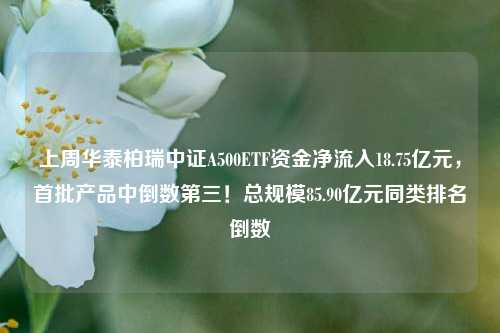 上周华泰柏瑞中证A500ETF资金净流入18.75亿元，首批产品中倒数第三！总规模85.90亿元同类排名倒数