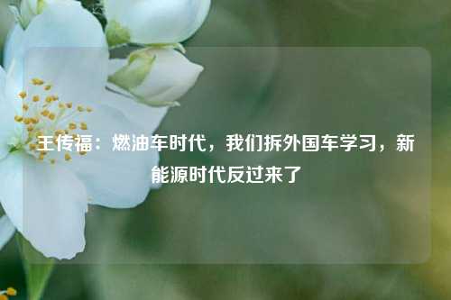 王传福：燃油车时代，我们拆外国车学习，新能源时代反过来了