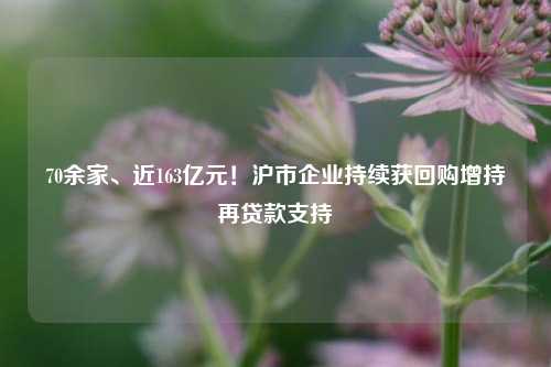 70余家、近163亿元！沪市企业持续获回购增持再贷款支持