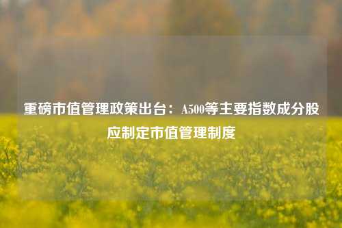 重磅市值管理政策出台：A500等主要指数成分股应制定市值管理制度